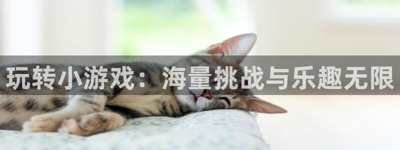 杏耀平台客户端：玩转小游戏：海量挑战与乐趣无限