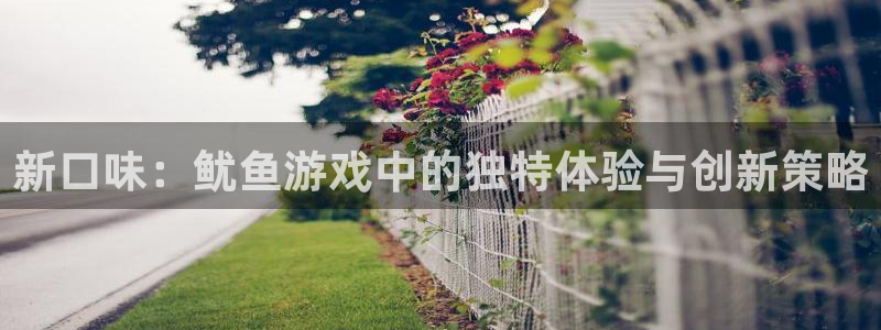 杏耀平台登录地址：新口味：鱿鱼游戏中的独特体验与创新策略